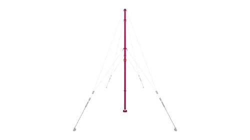 Стойка с кольцами, соревновательная TAISHAN TQ1006B FIG Approved#3