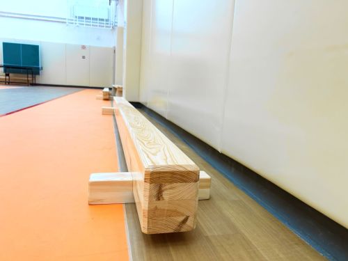 Бревно гимнастическое напольное 5000х130х160мм СТП-74 (деревянные ножки)#5 Бревно гимнастическое напольное 5000х130х160мм СТП-74 (деревянные ножки)#5