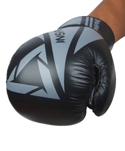 Перчатки боксерские INSANE ARES IN22-BG300 (кожа) 8 oz#2