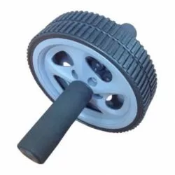 Lifeline fitness power wheel best sale